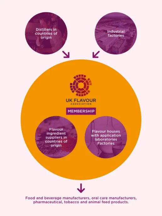Flowchart of how flavour companies fit into the wider food chain