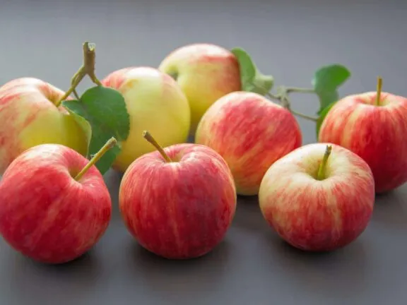 Apples are a popular flavour