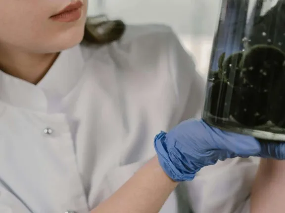 A production chemist produces the aroma chemicals used int he flavour industry